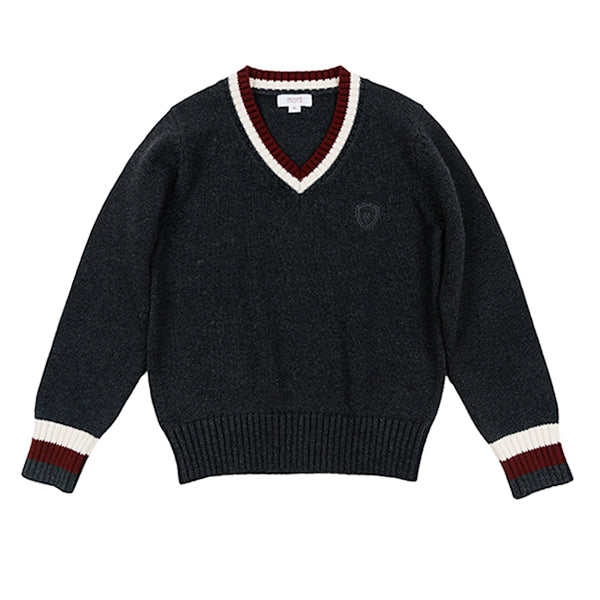 Jett charcoal v-neck stripe sweater FW25