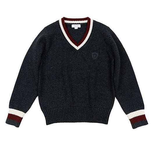 Jett charcoal v-neck stripe sweater FW25
